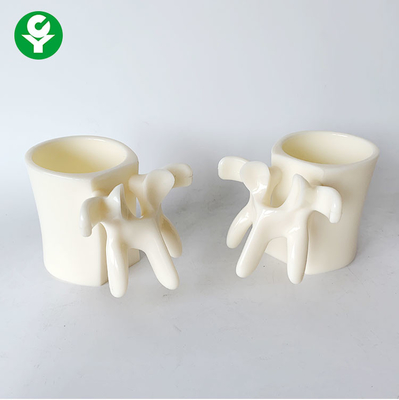 PVC avanzado Eco material de la taza del regalo humano vertebral de las partes del cuerpo amistoso